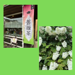 Untitled-design-101 吉祥幸座.9