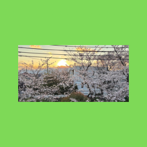 Untitled-design-218 吉祥幸座.18