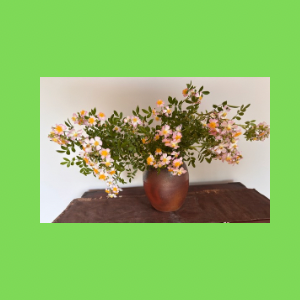 Untitled-design-235 吉祥幸座.19